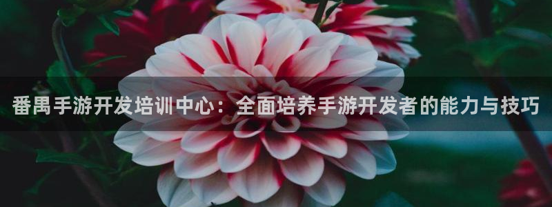 大神吧28预测结果