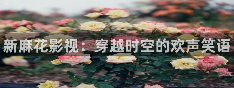 么么哒影院电视剧在线观看：新麻花影视：穿越时空的欢声笑语