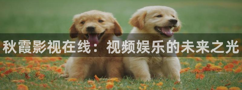 么么哒视频：秋霞影视在线：视频娱乐的未来之光