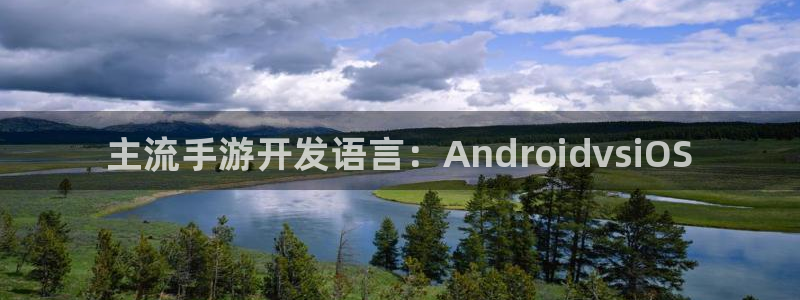 28大神预测群号码：主流手游开发语言：AndroidvsiO