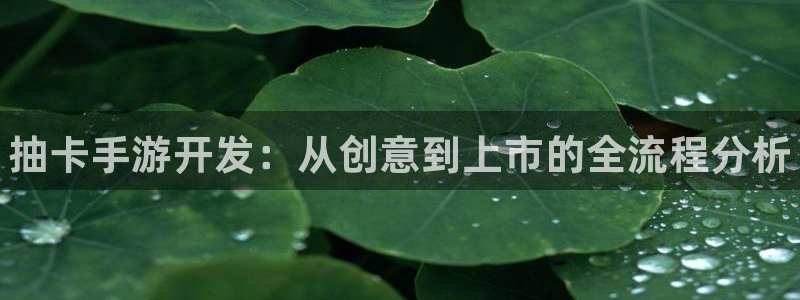 大神pc28官网开奖：抽卡手游开发：从创意到上市的全流程分析